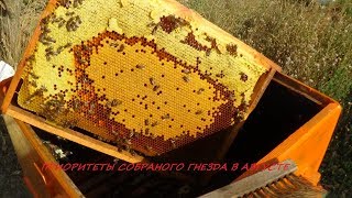 Нужна ли сборка пчелиного гнезда в августе???