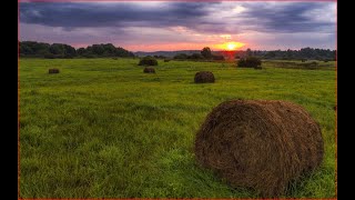 по тем же местам,лучший выходной,находки есть как ни крути