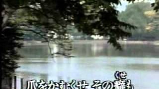 夫婦きどり牧村三枝子 鄧麗君  [台灣許仙唱]