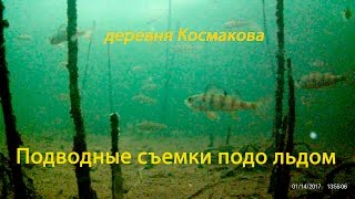 Зимняя рыбалка. Подводные съемки  подо льдом, окунь, чебак, ёрш. космакова