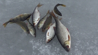 Короткая рыбалка на карьере. Плотва и окунь. Ice fishing