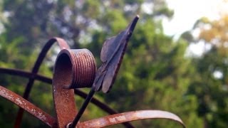 Garden Ornaments | At Home With P. Allen Smith