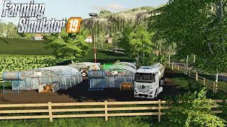 FARMING SIMULATOR 19 #161 - LE SERRE DI CETRIOLI - GAMEPLAY ITA