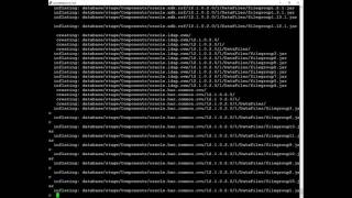 Installing 12c (12 1 0 2) on OEL 7 2