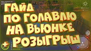 Гайд по ловле голавля на Вьюнке фидером. Розыгрыш фидеров для начинающих • Русская рыбалка 4