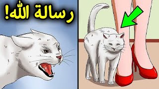 إذا اقتربت منك قطة.. فهذا يعني أن هناك 3 رسائل من الله لك | سبحان الله !!