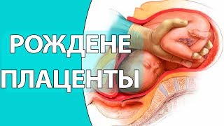 Как рожать плаценту / Рождение последа