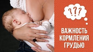 Почему надо кормить грудью