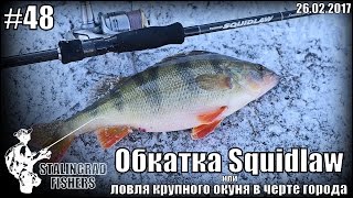 Обкатка Squidlaw или ловля крупного окуня в черте города - 26.02.2017