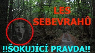 TVTwixx vs David Stallone - LES SEBEVRAHŮ //AOKIGAHARA//