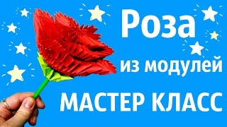 Роза Из Модулей Мастер Класс | Модульное оригами