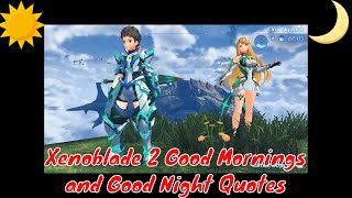 Xenoblade Chronicles 2 - All  Day and Night Quotes From Rare Blades