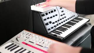 "Murderous" Nitzer Ebb, Phil Kieran remix cover, Korg MS20 mini + Korg Volca Sample
