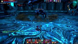 Tera Level 60 BAM solo Lvl60 Warrior