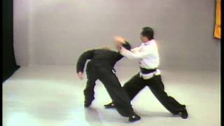 Shaolin Long Fist Kung Fu Basic Sequences (YMAA kung fu) Dr. Yang, Jwing-Ming