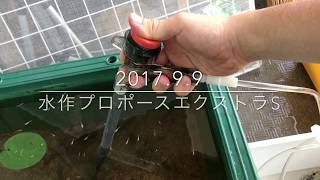 水換えに便利な水作プロホースエクストラSの使用レビュー