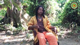 Аяваска(Ayahuasca). Это должен знать каждый!(Don Pepe) часть 1 (rus sub)