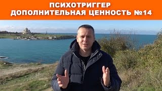 14 психотриггер ДОПОЛНИТЕЛЬНАЯ ЦЕННОСТЬ.  | Психотриггеры практика и примеры.