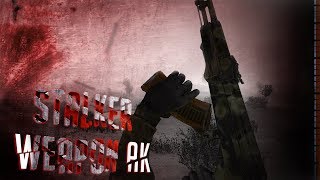 STALKER CoP | WEAPON AK
