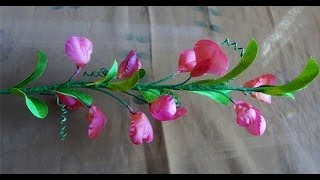 Душистый горошек полевой. Интерьерный цветок