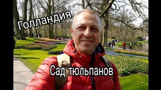 КОРОЛЕВСКИЙ ПАРК ЦВЕТОВ В НИДЕРЛАНДАХ.ПАРК КЁКЕНХОФ.ТЮЛЬПАНЫ.