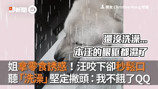 姐拿零食誘惑！汪咬下卻秒鬆口　聽「洗澡」堅定撇頭：我不餓了QQ