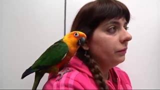 Lolo el Loro - Capítulo 115 - Veterinaris TV3