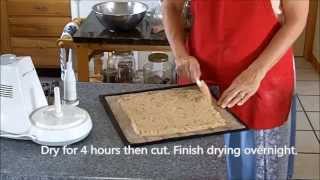 Debi's Raw Banana Bread Dehydrated