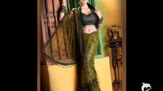 BEAUTIFUL INDIAN WOMAN IN SARI