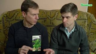 Помидоры лечат! Лечебные сорта томатов. Польза для здоровья.