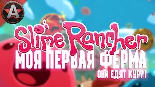 КОГДА В 30 ЛЕТ РЕШИЛ СТАТЬ ФЕРМЕРОМ ● Slime Rancher