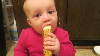 Baby Led Weaning Basics - Introducing Solid Foods to Baby