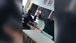 Нормы русского языка на ненормативных примерах поясняла учительница в Приморье.