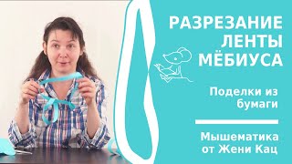 Разрезание ленты Мёбиуса