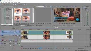 How to blur text and logo on a video  - Sony Vegas