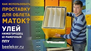 Облет маток 10 рамочный улей ППУ Нижегородец