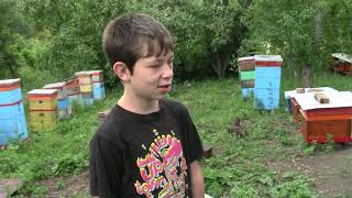 Пчеловодство.На пасеке Билоус Павла.