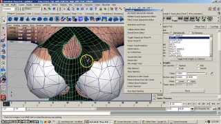 MayaStar Rigging for Fitted Mesh Part 1
