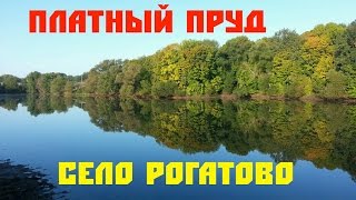 Платный Пруд в село Рогатово
