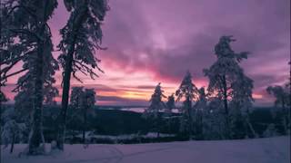 . Новогодняя сказка,зимние #цветы от 12 месяцевChristmas story.