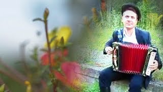 Гармошка ☀️ Красивая песня под гармонь о жизни, любви и разлуке ╰❥ Russian folk song╰❥ Играй гармонь