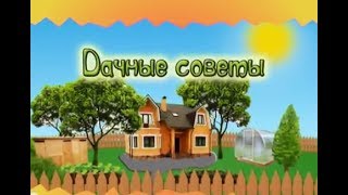 Лучшие сорта. Дачные советы с Галиной Старосельцевой. Декабрь 06-2018