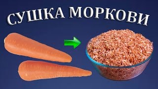 Как сушить морковь в электросушилке? | Сушеные овощи | Еда в поход