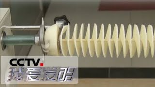 《我爱发明》 20180315 吃出来的创意：便携式烧烤炉/粉渣饼成型机/土豆旋切机 | CCTV科教