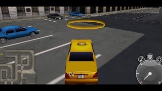 New York Taxi License 3D