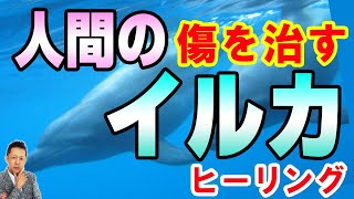 ATLASラジオ3rd 018　大学進学を考えている?シャドーマン、人間の傷を治すイルカのヒーリング