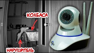 Засек нарушителя! Hiseeu FH1C -  WiFi камера видеонаблюдения для дома.