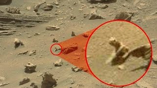 18 WEIRDEST Things on Mars