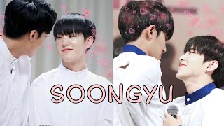 Hoshi x Mingyu [soongyu's moments] - SEVENTEEN?❤️