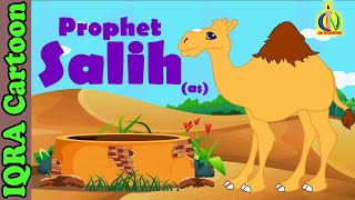 Prophet Stories For Kids | Salih (AS) | Islamic Cartoon | Quran Stories Islamic Children Kids Videos